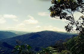 A 4 km trail from bukit putus to the summit or via ulu bendul to. G Jabatan Perhutanan Negeri Negeri Sembilan Darul Khusus Facebook