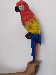 macaw parrot fiber at rs 2250 new