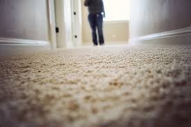 professional carpet cleaning service