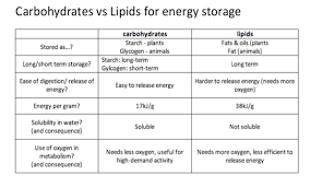 topic 2 3 carbohydrates and lipids