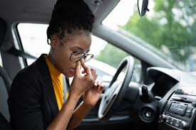 mold smell in your car