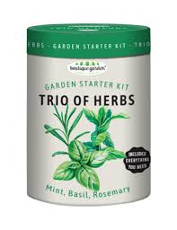 Trio Of Herbs Garden Starter Kit Mr
