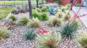 What Is Xeriscaping