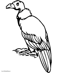 All vulture coloring click turkey page color pages buzzard from vultures free printable online. V Is For Vulture To Be Printed Off As A Coloring Page Coloring Pages Homeschool Preschool Color