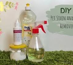 diy pet stain and odor remover petguide