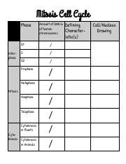 Mitosis Cell Cycle Table Worksheet Pdf Phase Mitosis Cell