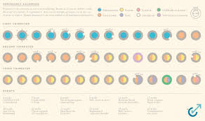 Pregnancy Calendar Visual Ly