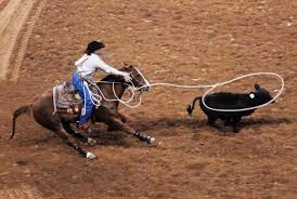 Image result for calf roping photos
