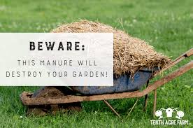 this manure will destroy your garden