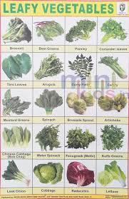 Leafy Vegetables Chart Number 234 Minikids In