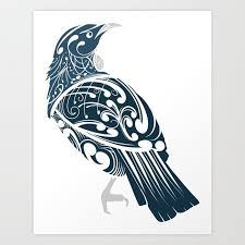 New Zealand Native Birds Collection Art