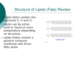 ppt structure of lipids fats review