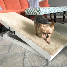 how to build an adjule dog r