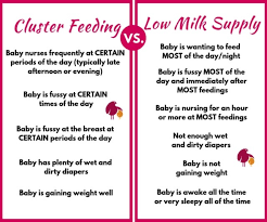 What Is Cluster Feeding Learn Why Your Baby Wants To