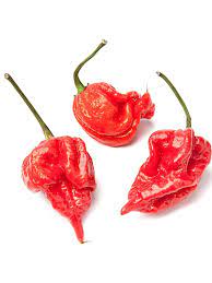 scorpion pepper what s so special