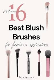 these are the 16 best blush brushes for