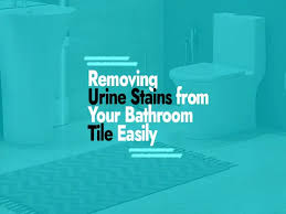 Removing Urine Stains From Your