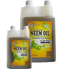 organic neem oil for plants by garden
