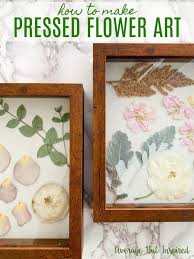 How to dry flowers properly. How To Press Flowers In A Book Average But Inspired