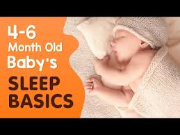 baby sleep cycles at 6 months