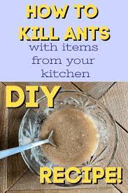 with borax make diy ant trap