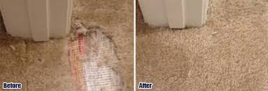 pet damaged carpet 805 422 3176