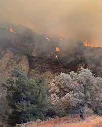 Datça'da orman yangını: Helikopter ve uçaklarla müdahale ediliyor, henüz  kontrol altına alınamadı - Medyascope