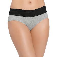 No Muffin Top Hipster With Lace Cotton Panties