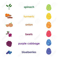 Vector Illustration Of Natural Colorants For Easter Eggs In Chart