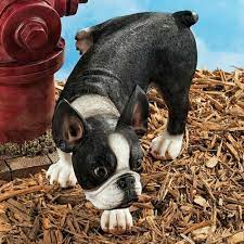 Boston Terrier Garden Statue Dog