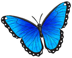 Free Blue Butterfly, Download Free Blue Butterfly png images, Free ClipArts  on Clipart Library