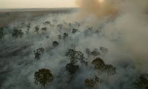 Resultado de imagem para amazonia em chamas 2019