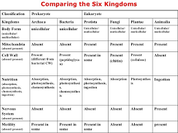 Kingdom Comparison Chart Worksheets High School Science