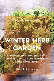 How To Grow A Winter Herb Garden And