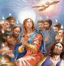 DOMENICA DI PENTECOSTE – 9 Giugno 2019 – CONFRATERNITA di SANTA MARIA della  QUERCIA dei MACELLAI di ROMA