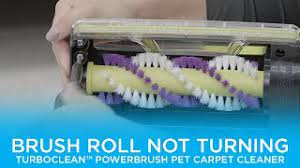 turboclean powerbrush pet carpet cleaner