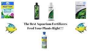 best aquarium plant fertilizer 2022