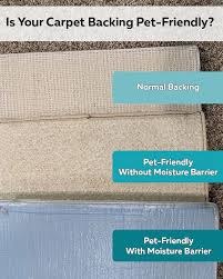 pet friendly carpet flooring