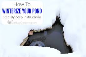 How To Winterize A Pond Step By Step
