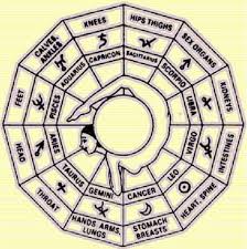 Astrological Signs And The Body Astrology Medical