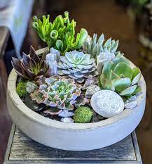succulent garden with engraved selenite