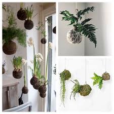 10 Diy String Gardens Kokedama A