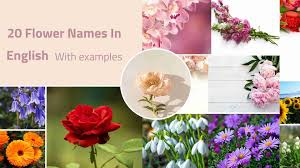 20 flower names in english with