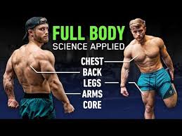 full body workout for muscle growth
