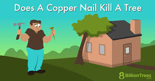 does a copper nail kill a tree full