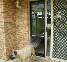 Glass Dog Doors Perth Glass Pet Doors