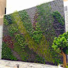 Green Wall With Live Plants Avda