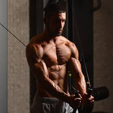 chest exercises for building muscle fast