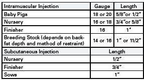 Injection Reference For Swine Hogs Pigs And Pork