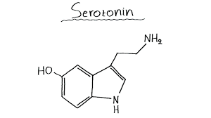 draw the serotonin molecule chemistry